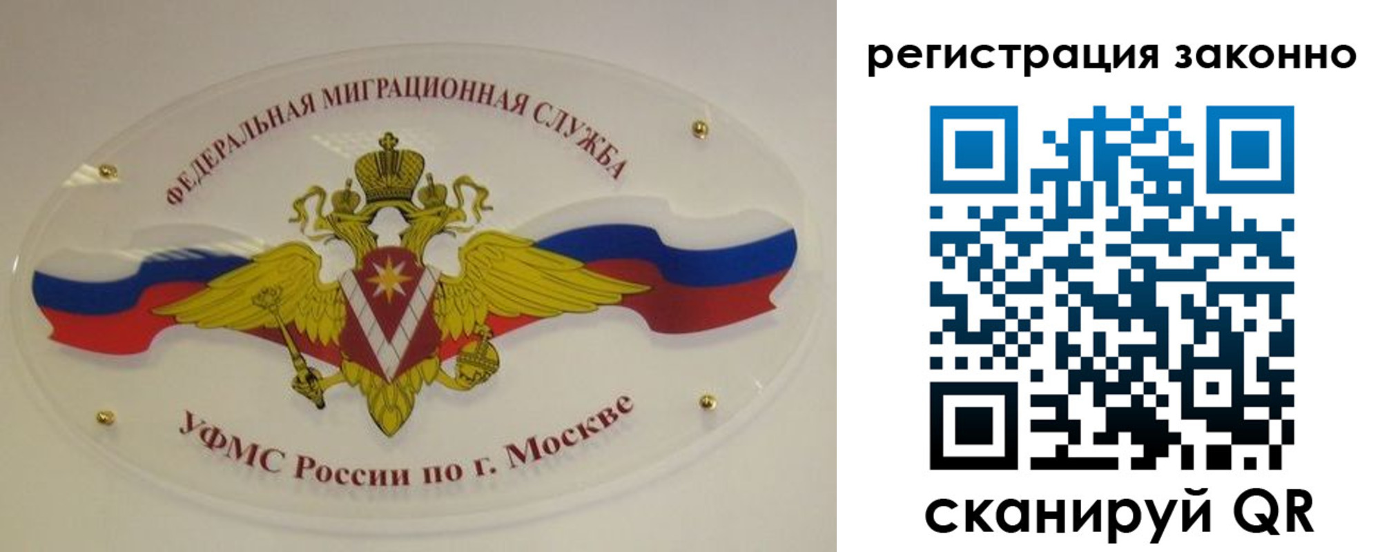 прописка для школы в Протвино